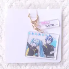 グロモントPremium Premium アクリルキーホルダー シークレット