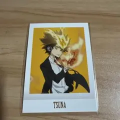 家庭教師ヒットマンREBORN 沢田綱吉