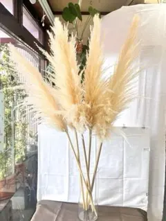 ISHI-DA様 リクエスト 3点 まとめ商品