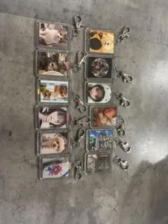 せな様専用ページ、アクリルキーホルダー 12個セット 動物