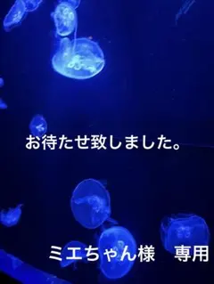 ミエちゃん様 リクエスト 2点 まとめ商品