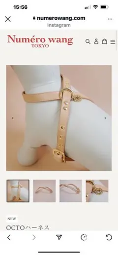 Item thumbnail for item 61d5b136-711b-4af0-bc85-2b36084f188c