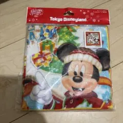 東京ディズニーランド ミッキー タオル 2015