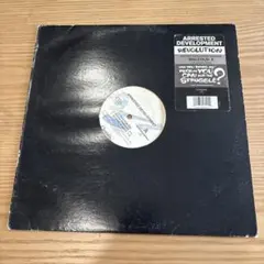 2026年最新】ARRESTED development レコードの人気アイテム - メルカリ