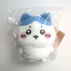 ハチワレ ガチャ ぬいのサムネイル