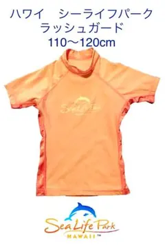 【ハワイ シーライフパーク】ラッシュガード　ピンク　キッズ　110-120cm