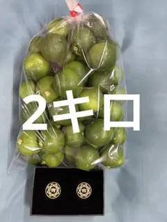 ハウススダチ 家庭用 2キロ - メルカリ