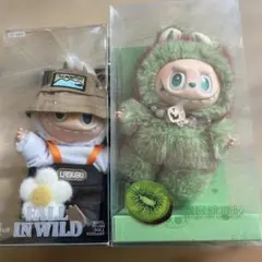 Item thumbnail for item ef271cac-59ea-463f-b00b-fc1bf68c44a1