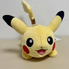 2026年最新】ポケモンセンター 連れ歩きの人気アイテム - メルカリ