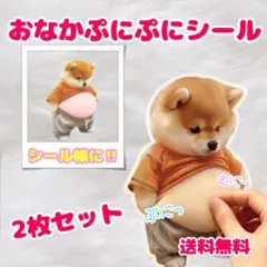 おなかぷにぷに シール 柴犬 ぷっくり 3D 立体 ステッカー 2枚 マシュマロ