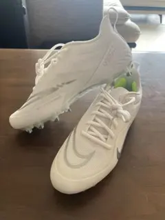 Item thumbnail for item 6e54a1be-4ea2-4540-b7e3-b5ce1688a36b