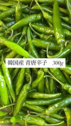 2026年最新】青唐辛子の人気アイテム - メルカリ