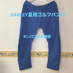 Item thumbnail for item aa421441-db63-477f-96bb-0b1eb460f387