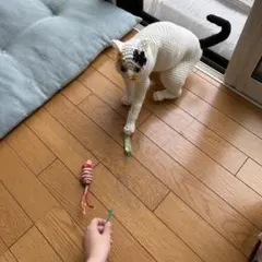 あみぐるみ 三毛猫のサムネイル
