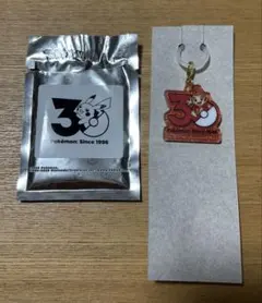 ポケモン 30周年 アクリルキーホルダー ヒコザル