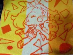 ポケットモンスター　Trainers　ゲストタオル　ハルカ　アチャモ