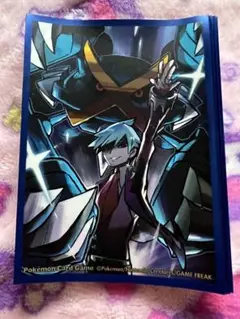 ダイゴ ポケモンカード デッキシールド 10枚 ポケットモンスター