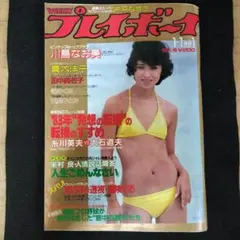 Item thumbnail for item d1e2e85b-4734-4bf4-8a73-ea50d9c158f6