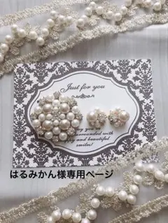 はるみかん様専用ページ　グレージュが可愛い華やかブローチ＆蝶バネイヤリング