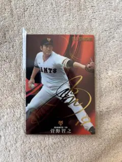 Item thumbnail for item d1f12268-2061-4d71-a4cb-5d9a73fc89ad