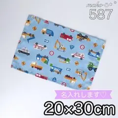 Item thumbnail for item 100fc299-17a2-408f-bd11-3115c2ccbe6e