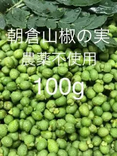 2026年最新】花山椒 100gの人気アイテム - メルカリ