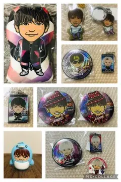 NAOTO クッション 缶バッジ イルカ着ぐるみキーホルダー