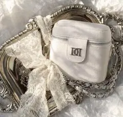 Darich ダーリッチ ノベルティ キャビアスキンレザースモールポーチ