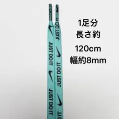 NIKEシューレース just do it 靴紐 水色1足分120cm随時発送