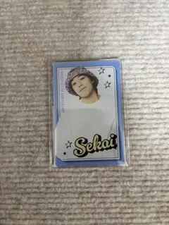 世界 ロト フォトマグネット