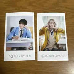 EBiDAN 隣の席チェキICEx 筒井俊旭 BUDDiiS MORRIE