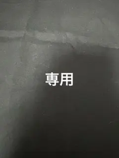 RT-170381様専用