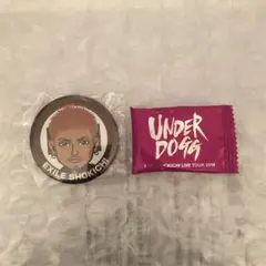 EXILE SHOKICHI セット