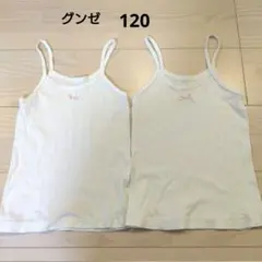 キャミソール　グンゼ　120