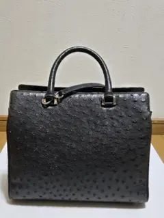 極美 ビアンキエナルディ ハンドバッグ オーストリッチレザー 黒 