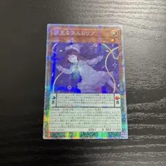 希少！アジア ネムレリア プリズマ 2026年最新】ネムレリア プリズマの人気アイテム - メルカリ