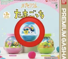 カプセリウムたまごっち　まめっち　みみっち