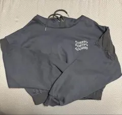 レピピアルマリオＬ