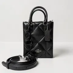 希少！ COACH × PEANUTS Woodstock バックチャーム - メルカリ