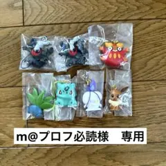 m@プロフ必読様　専用