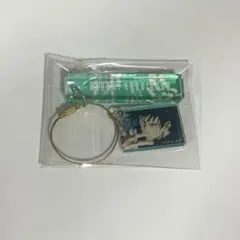 呪術廻戦 伏黒恵 メモリアルアクリルプレートコレクション