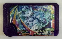 ポケットモンスター ポケモン フレンダ ST スーパートレジャー テラパゴス