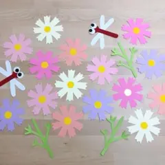 コスモス 花 トンボ 秋壁面