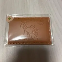 ニッセイ　ケース入りカードミラー