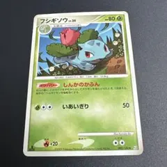 2026年最新】ポケモンキッズ フシギバナの人気アイテム - メルカリ