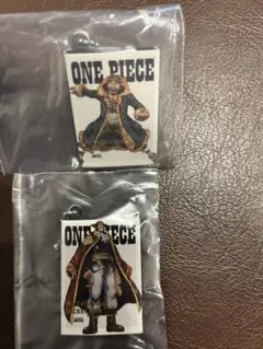 ONE PIECE Log Collection キーホルダー 2種セット