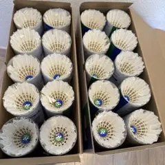 Item thumbnail for item dfe61c5a-a947-4016-9db6-717080de8333