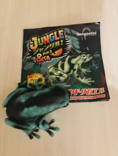 最終値下げ！アンドコマダラヤドクガエル