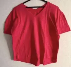 【新品、未使用品】オペークドットクリップ　デザイン　カットソー