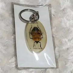 【キーホルダー】FACE BUG　ジンメンカメムシ